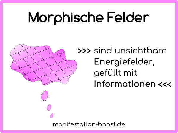 morphisches-feld