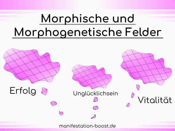 Morphische und Morphogenetische Felder