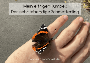Zeichen vom Universum Schmetterling